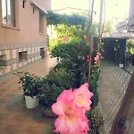 Vylchev קיטן