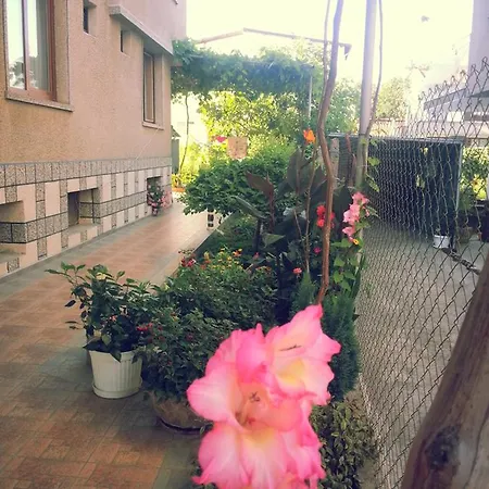 Vylchev Kiten (Burgas)