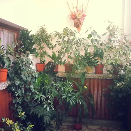 Vylchev Δωμάτια σε οικογενειακή κατοικία *