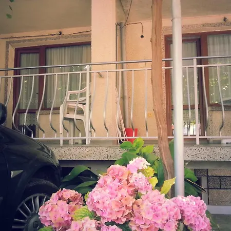 Δωμάτια σε οικογενειακή κατοικία Vylchev *