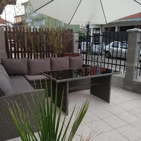 Vylchev Kiten (Burgas)