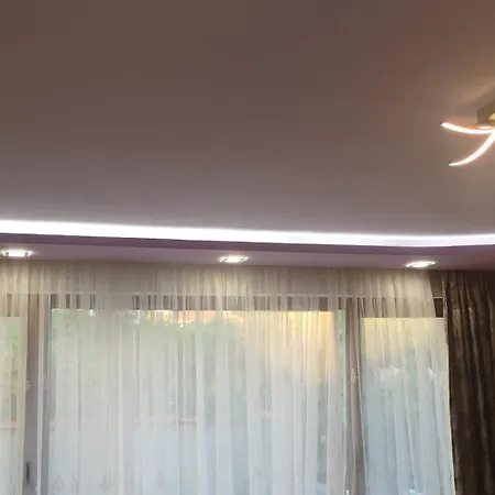 ホームステイ Vylchev *