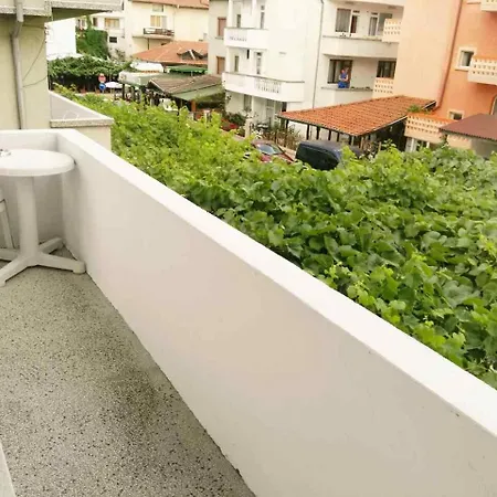 Vylchev Kiten (Burgas)