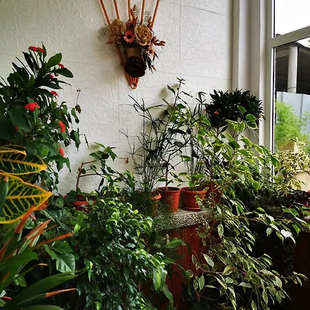 Vylchev Δωμάτια σε οικογενειακή κατοικία