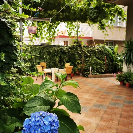 Vylchev Accommodatie bij particulieren Kiten (Burgas)