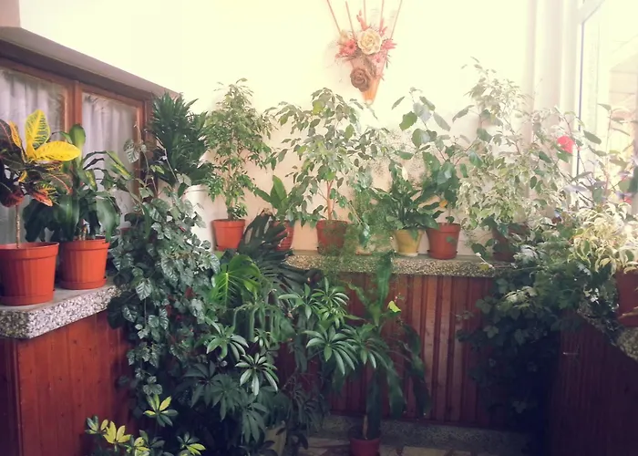 Vylchev Privat bolig *